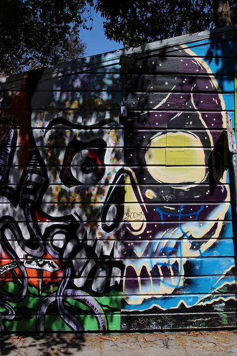 Skull mural by Unknown Artist