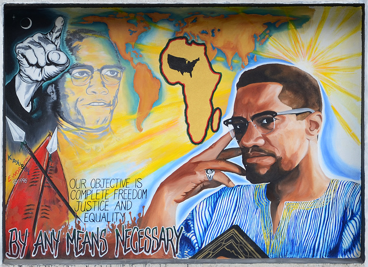 Malcolm X Mural mural by Kamau Ayubbo, Eric Norberg