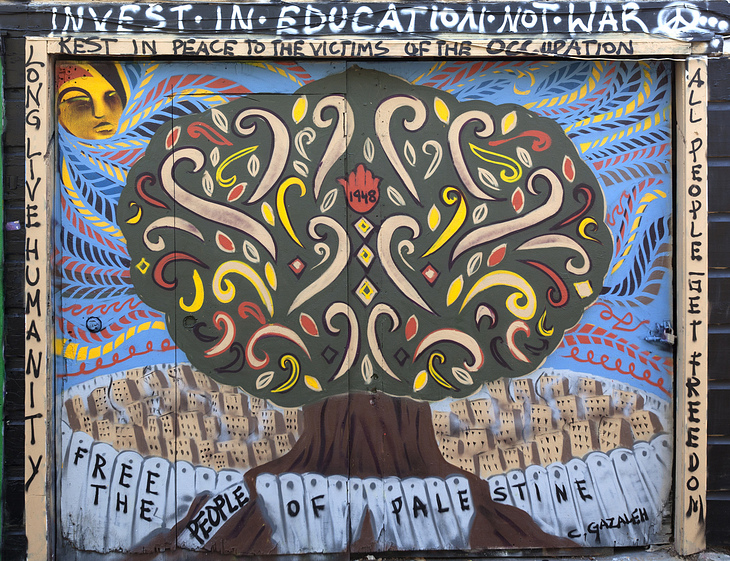Educate to Liberate mural by C Gazaleh