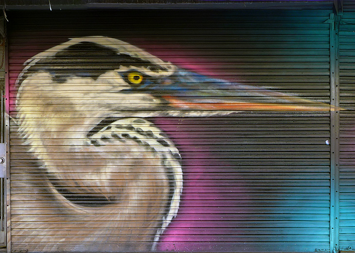 Heron and Butterfly mural by Eli Lippert