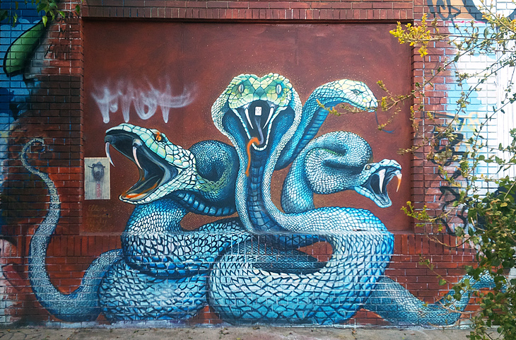Blue Snakes mural by Unknown Artist
