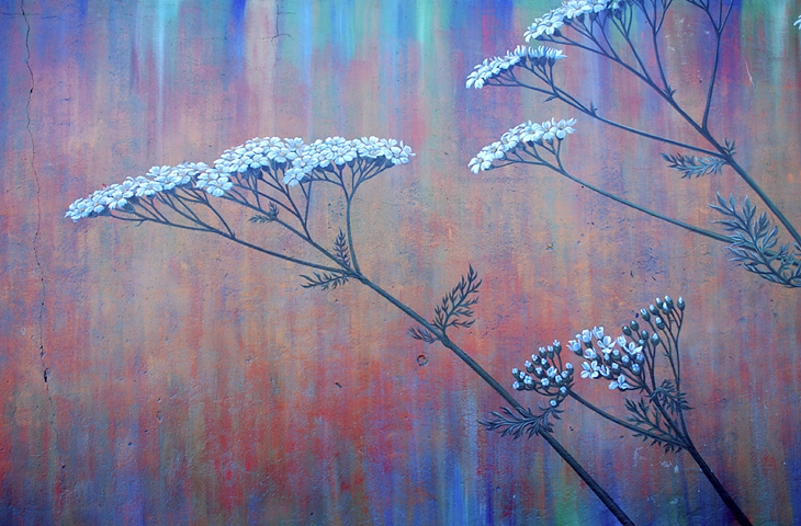 The Botanical mural by Mona Caron