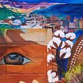 Indigenous Eyes